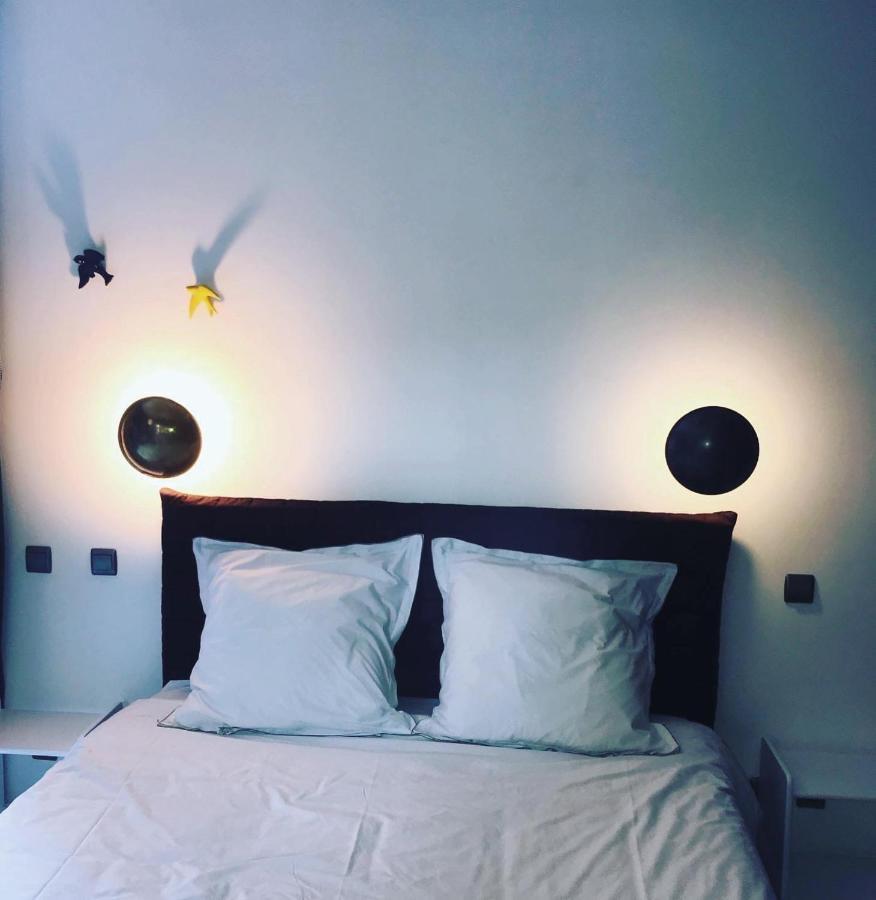 Maison Matejewski Chambre D'Hotes Avec Jardin Blaye Eksteriør billede